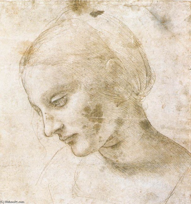 Studio di una testa di donna, 1490, Leonardo da Vinci